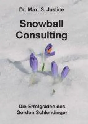Bild: Snowball Consulting - Insider-Bericht aus der deutschen Unternehmungsberatungslandschaft