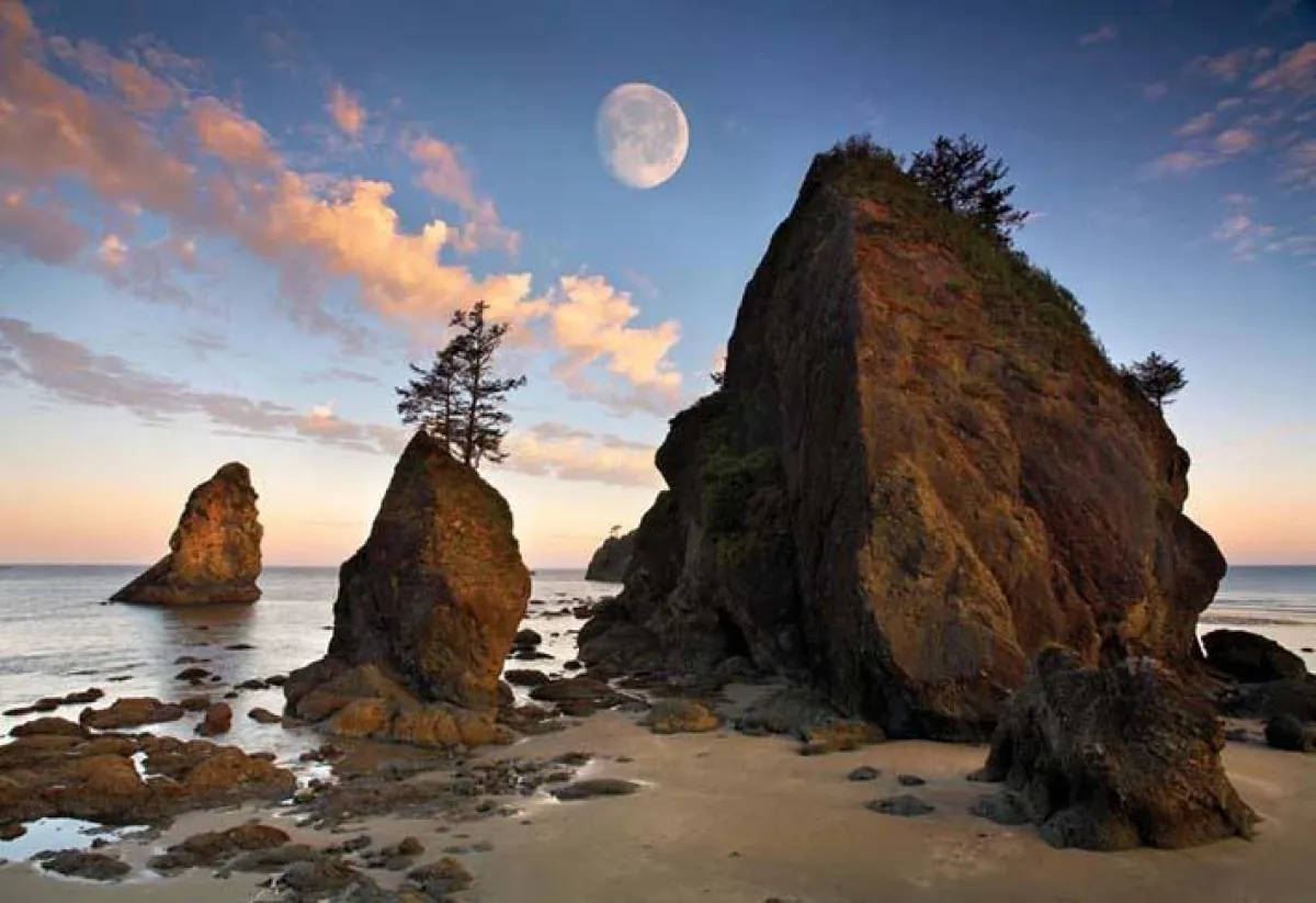 Der Kalaloch Beach im Olympic Nationalpark (c) ARAMARK Parks and Destinations