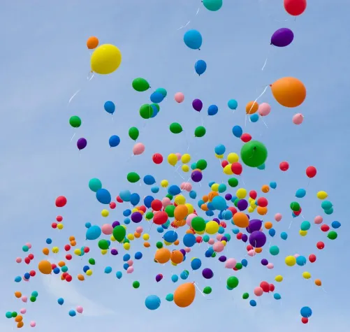 Bild: Gestaltung, Kommunikationsdesign und Webdesign von Haase & Martin aus Dresden