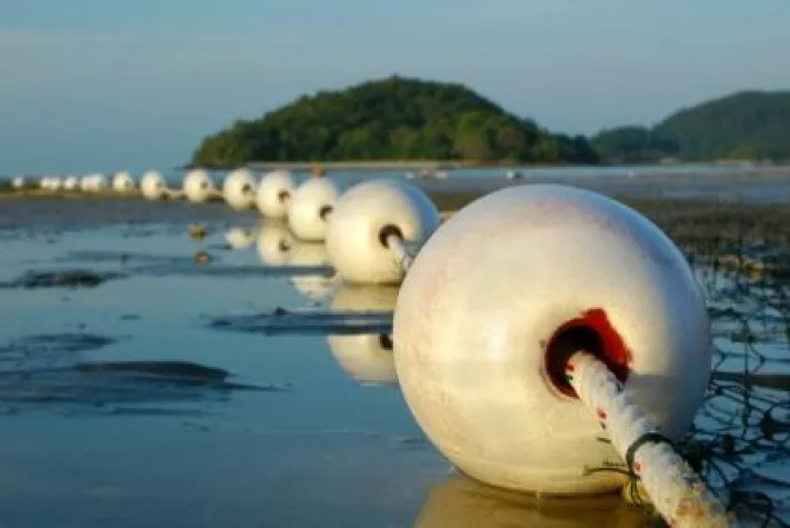 Bild: Professionelles Networking als aktive Wirtschaftsförderung