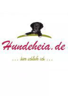 Bild: Hundebetten Hersteller zu Gast bei den MöbelPiraten