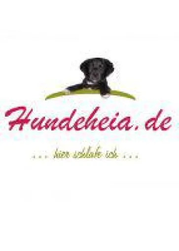 Hundebetten Hersteller zu Gast bei den MöbelPiraten Bild: Hundebetten Hersteller zu Gast bei den MöbelPiraten
