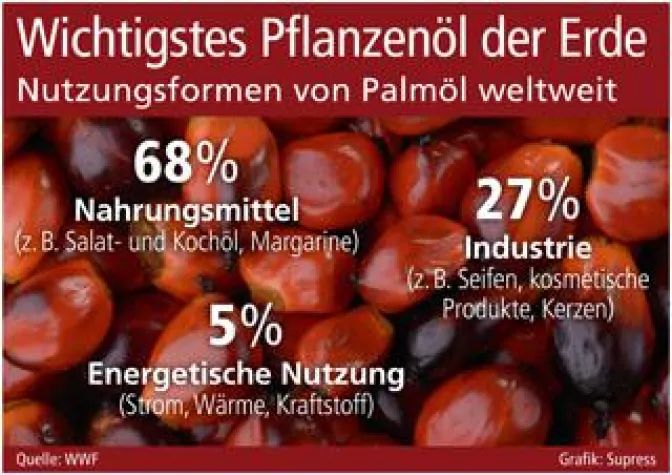 Bild: Wichtigstes Pflanzenöl der Erde