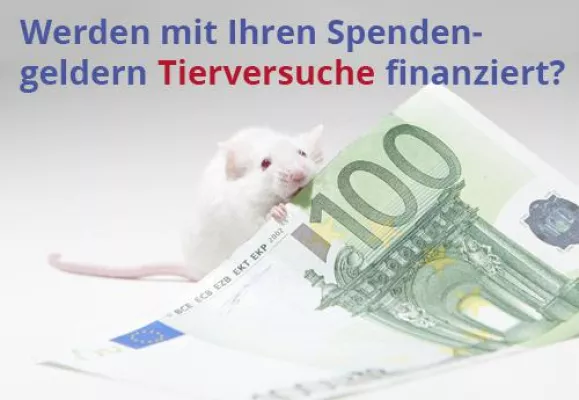 Bild: Ärzteverein deckt auf: Diese Stiftungen sponsern Tierversuche!