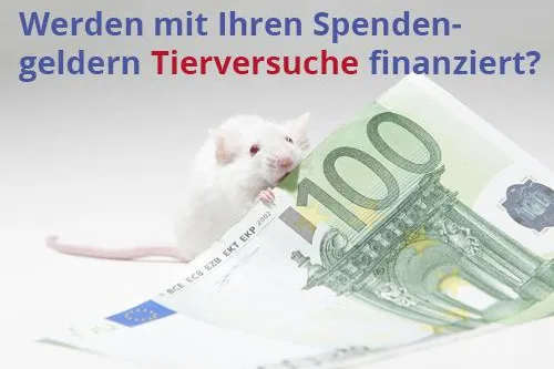 Ärzteverein deckt auf: Diese Stiftungen sponsern Tierversuche! Bild: Ärzteverein deckt auf: Diese Stiftungen sponsern Tierversuche!