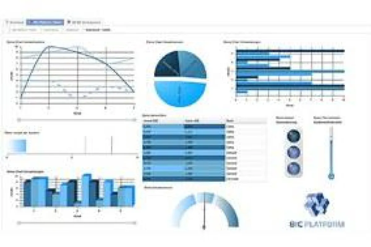 BIC Monitor, das Prozess Performance Management Werkzeug der BIC Platform