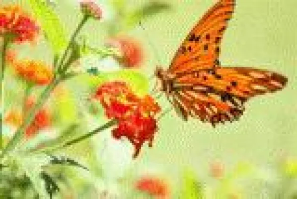 Bild: Lebe, was dich glücklich macht. Erstes SoulCamp Germany vom 24. bis 26. Mai 2013 in Freiburg