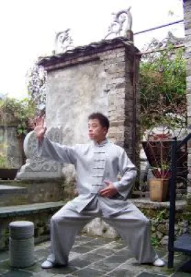 Bild: Taijiquan Workshops in Berlin, 24./25.März und 7./8. April 2018, Li Pengcheng, Master für Taijiquan & Qigong