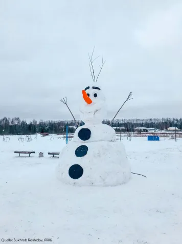 Bild: Willst du einen Schneemann bauen?