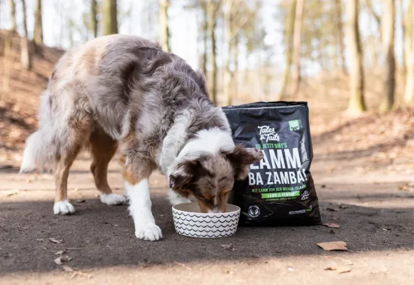 Bild: 20.000 Hunde essen im Abo – ein Hinweis auf verändertes Konsumverhalten im Heimtiermarkt