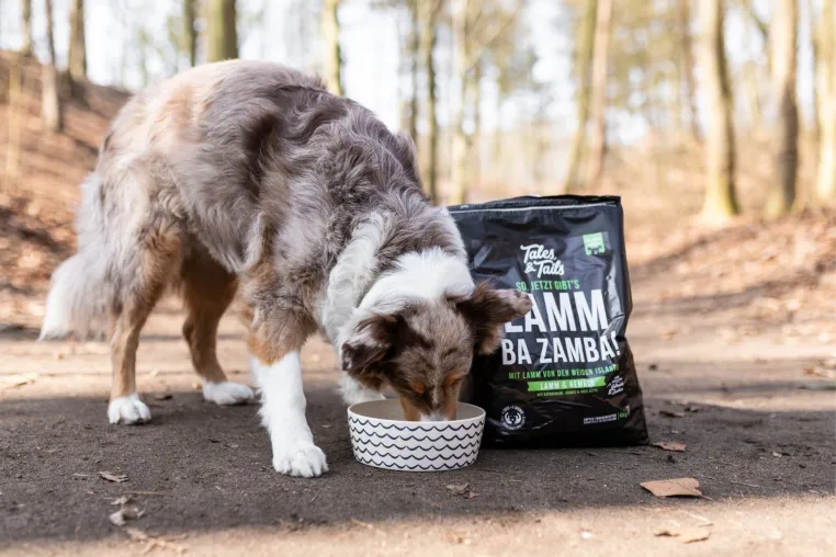 20.000 Hunde essen im Abo – ein Hinweis auf verändertes Konsumverhalten im Heimtiermarkt Bild: 20.000 Hunde essen im Abo – ein Hinweis auf verändertes Konsumverhalten im Heimtiermarkt