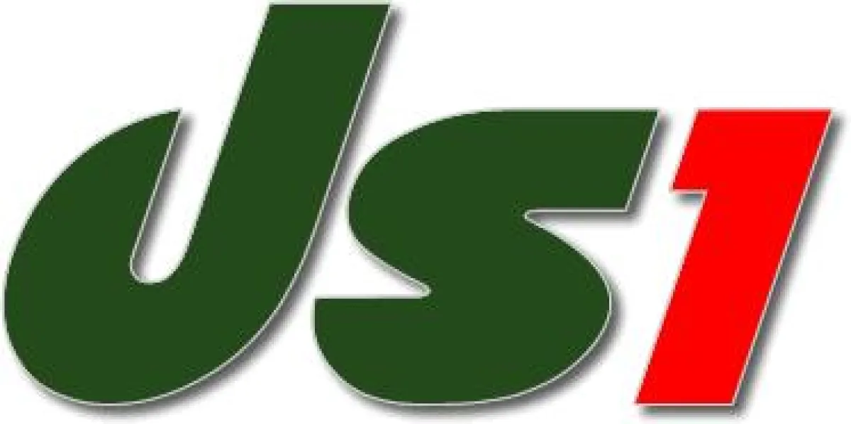 ds1 - das Senderlogo