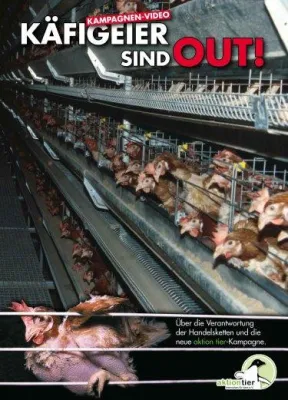 Bild: So werden (Oster)eier produziert - aktion tier stellt aktuelle Videodokumentation vor