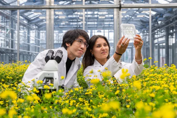 Bild: Dem Gedächtnis der Gesteine auf der Spur:  Der Bromacker ist vier Millionen Jahre älter als bisher angenommen