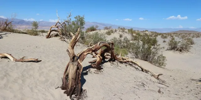 Bild: Schüleraustausch USA, weltweit und Corona: Schüleraustausch Stipendien für das Schuljahr 2020/2021