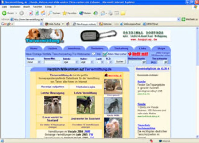 Bild: Tiervermittlung.de - Die Internetplattform zur Vermittlung von Haustieren aller Arten