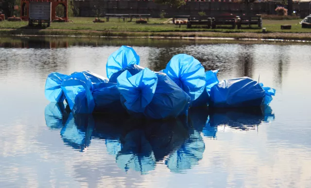 Bild: Game over? Wenn die Müllblumen blühen