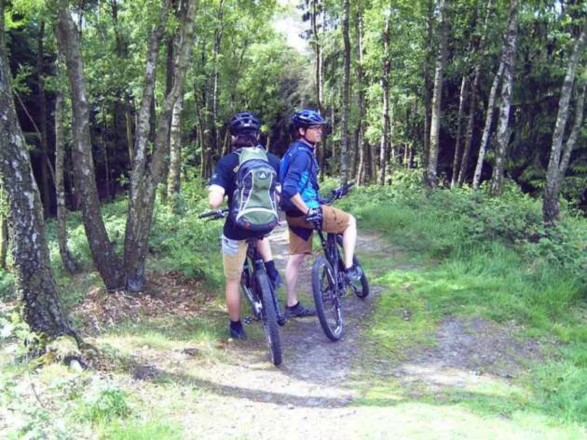 MTB-Tour über die Ruhrhöhen
