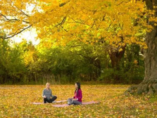 Bild: Waldbaden, Nachtgoggeln und Tai Chi-Wandern