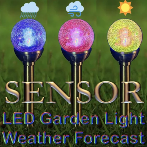 Frankfurt am Main, Juni 2019: Sensor-Wetter-LED - Gartenleuchte oder Wetterfrosch? Bild: Frankfurt am Main, Juni 2019: Sensor-Wetter-LED - Gartenleuchte oder Wetterfrosch?