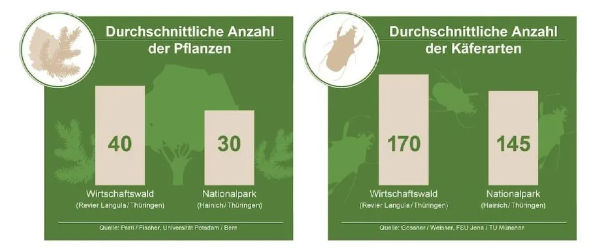 Naturnahe und nachhaltig bewirtschaftete Waldflächen sind artenreicher. Copyright: AGR/BSHD.