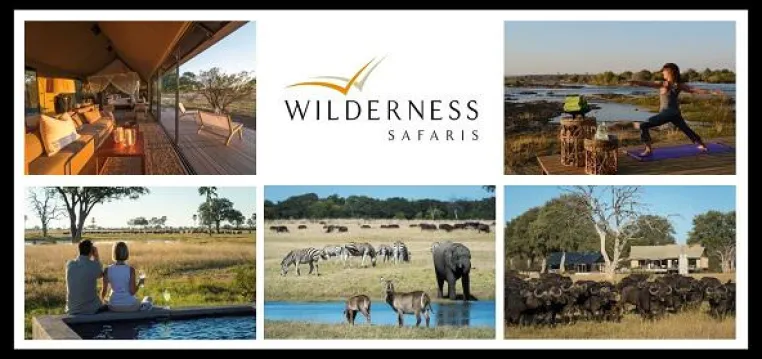 Blockbuster der Wildnis - Erste Reihe ganz exklusiv im Safari-Cinema von Wilderness Safaris Bild: Blockbuster der Wildnis - Erste Reihe ganz exklusiv im Safari-Cinema von Wilderness Safaris