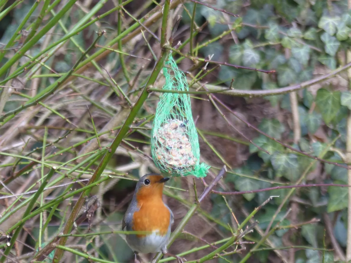 Der späte Vogel fängt den Wurm (© Radsport Journal Tourmann)