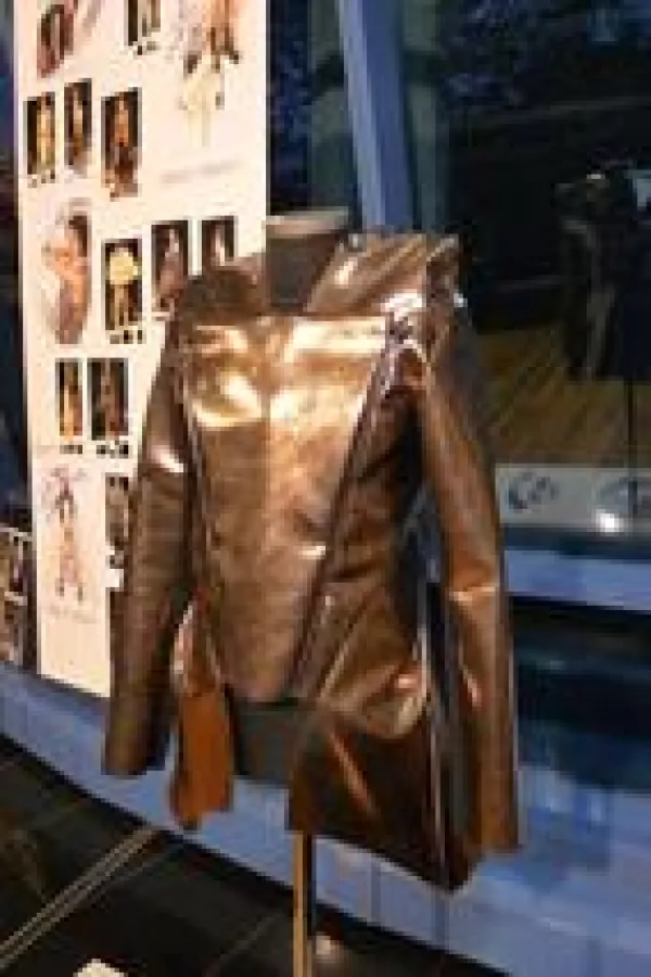 Ein aktuelles Modell von ESMOD