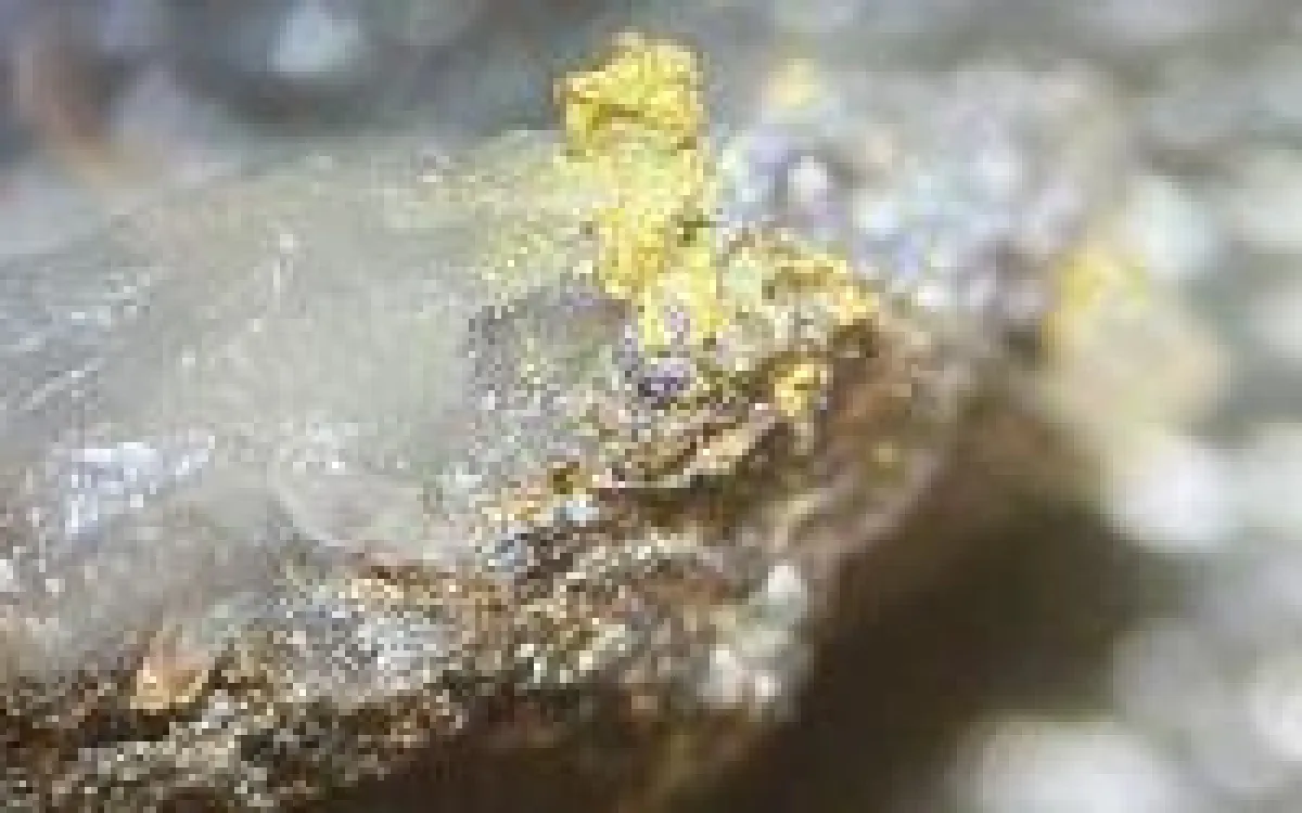 Sichtbares Gold von Hemi; Foto: De Grey Mining