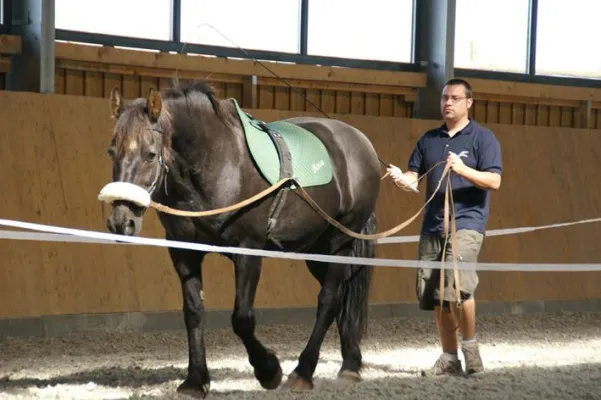 Bild: 6. EAHAE Jahreskonferenz das erste Mal in England.