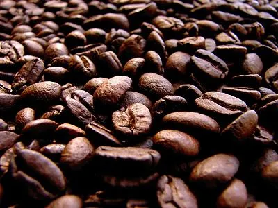 Bild: Edler Kaffee für die Festtage – Spitzenprodukte aus dem Hause Lethe