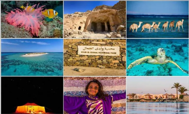 Bild: Wadi el Gemal Safarierlebnisse zwischen bunten Unterwasser- und mystischen Wüstenwelten