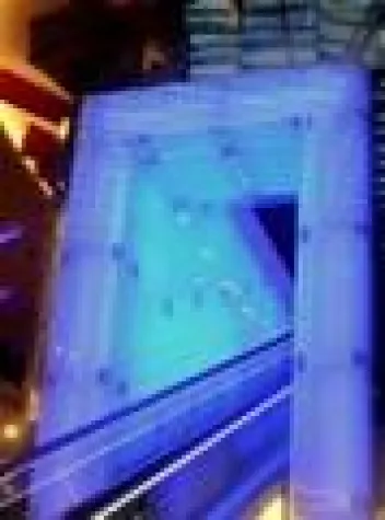 Bild: NEUE WEGE IN DIE ZUKUNFT