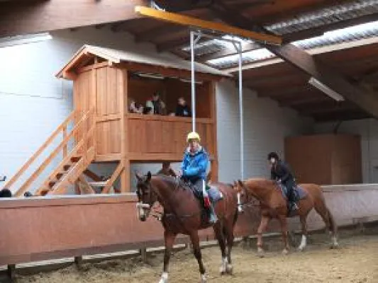 Bild: Reitlehrgang der Integrativen Gesamtschule Badenstedt in Freckenhorst- „Hier stimmt einfach alles“