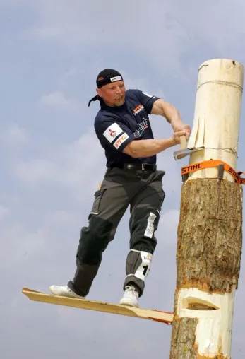 Deutschlands beste Sportholzfäller kämpfen um den Meistertitel Bild: Deutschlands beste Sportholzfäller kämpfen um den Meistertitel