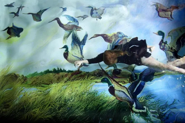 Bild: Susanna Majuri - Nordic water tales