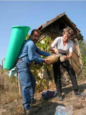 Bild: Der goldene Herbst auf einem Obsthof, Winzerhof oder Weingut....