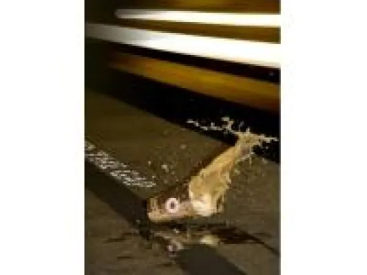 Bild: Gesellschaft als Grundbedürfnis