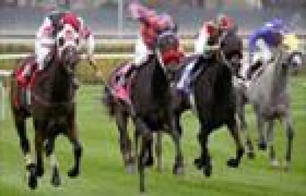 Bild: Galoppnews aus Gulfstream Park - Donn Handicap Gruppe 1 Rennen