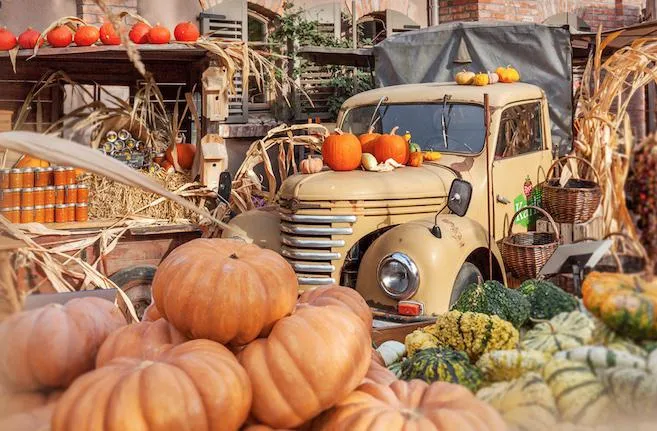 Neues Spektakel im Herbst: Karls feiert großes Kürbisfestival Bild: Neues Spektakel im Herbst: Karls feiert großes Kürbisfestival