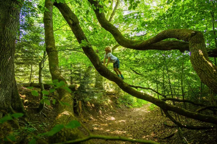 Bild: Familienzeit in Bad Herrenalb