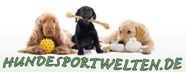 Bild: Schokolade für Hunde – Gift für den Hund