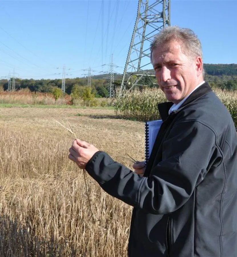 Klaus Mastel begutachtet - vor dem Mähvorgang - die Versuchsfelder der Braugerste (2. Ernte), die auf Grund der zurückliegenden zwei sehr trockenen Spätsommermonate (August und September 2009) zurückg