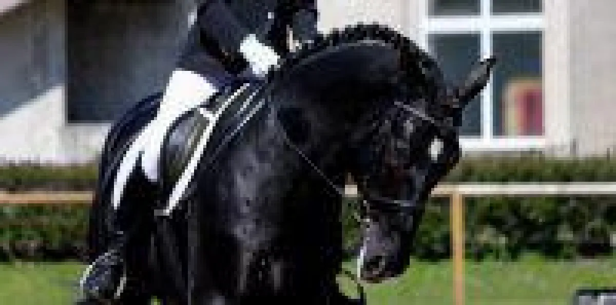 Agrocaballo - Jobportal der Agrar- und Pferdebranche