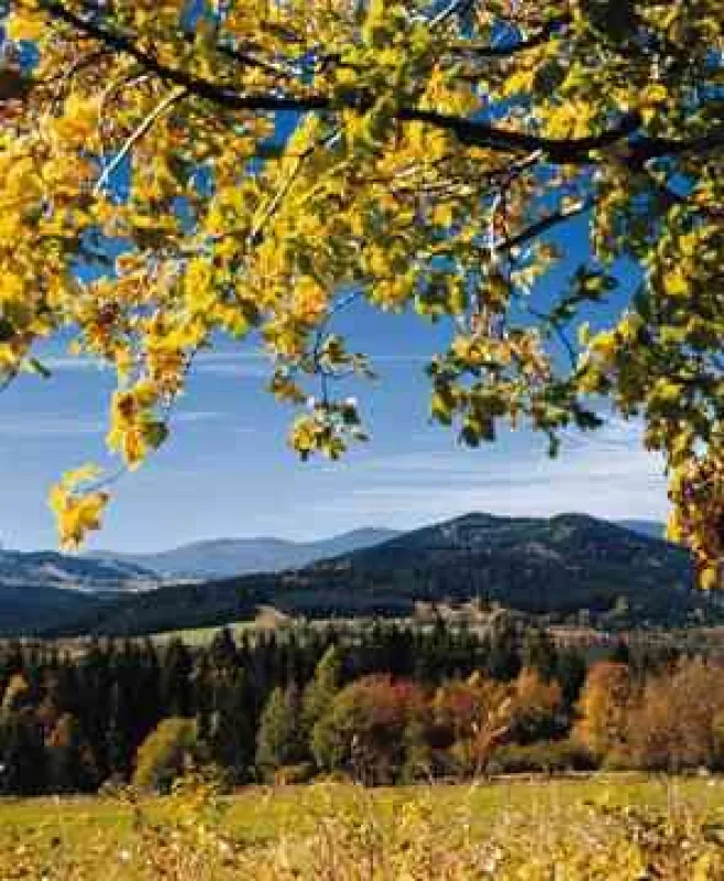 Bayerische Landschaft