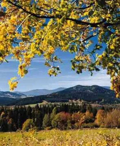 Eine Zoigl-Wanderung auf dem Goldsteig in Bayern Bild: Eine Zoigl-Wanderung auf dem Goldsteig in Bayern