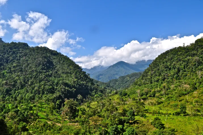 soap & precede erweitert Körperpflegeserie um klimaneutrales Duschen Bild: soap & precede erweitert Körperpflegeserie um klimaneutrales Duschen