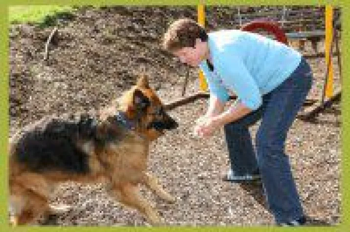 Bild: Urlaub mit Hund im Bayerischen Wald - Hunde lieben Tricktraining