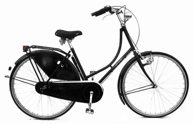 Bild: Hollandräder Made in Germany?