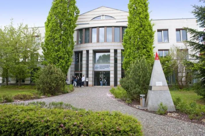 Bild: „Schlecker-Frauen“ schaffen Sprung zurück in Arbeit